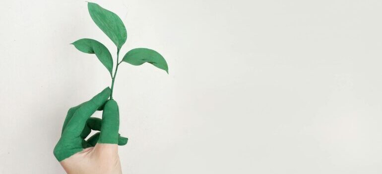 a hand half painted green holding a plant