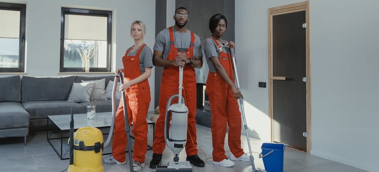 professional home cleaners
