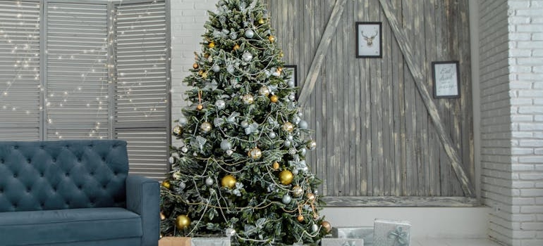 Christmas tree - place it as a centerpiece when you decorate your home for Christmas